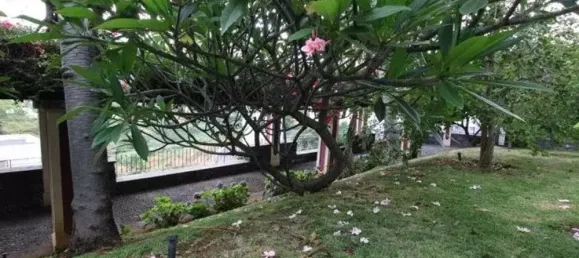 6 Schlafzimmer Haus in Funchal, Portugal, Nr. 84778 4