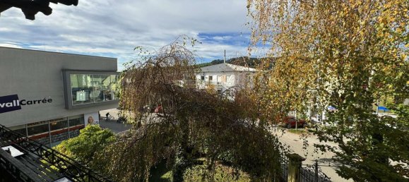 15 rooms Villa in Baden-Wurttemberg, Germany No. 29351 18