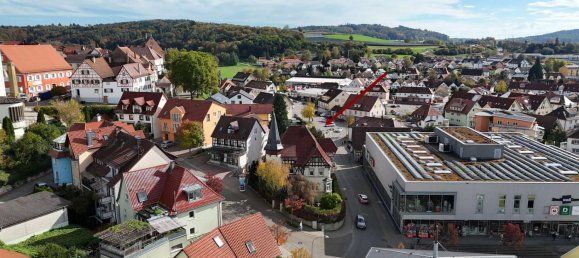 15 rooms Villa in Baden-Wurttemberg, Germany No. 29351 3