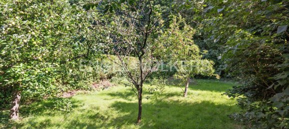  Land in Stormarn, Germany No. 278124 6