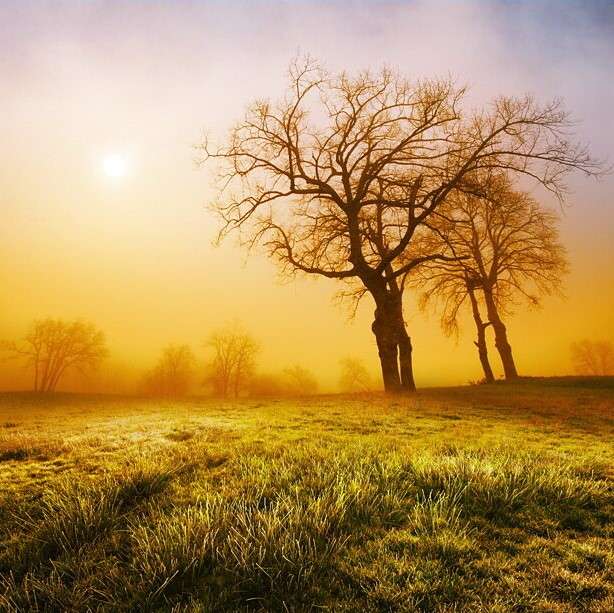 Grundstück in Aschaffenburg, Germany, Nr. 41813