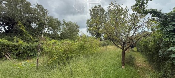1130m² Land in Viareggio, Italy No. 361881 15