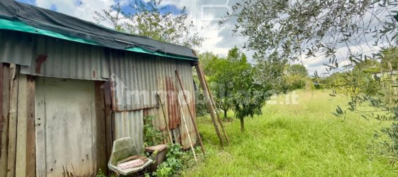 1130m² Land in Viareggio, Italy No. 361881 16