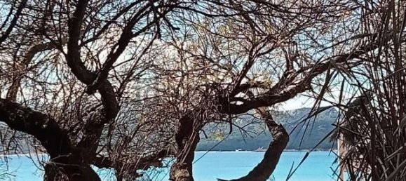 4 Schlafzimmer Villa in Arzachena, Italy, Nr. 59618 18