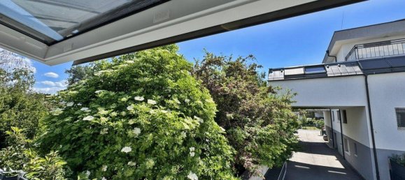 4غرفة شقة في Vienna, Austria رقم 214899 7