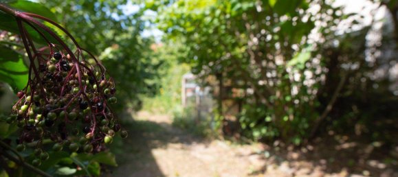 8 bedrooms Townhouse in Hochtaunuskreis, Germany No. 339937 4