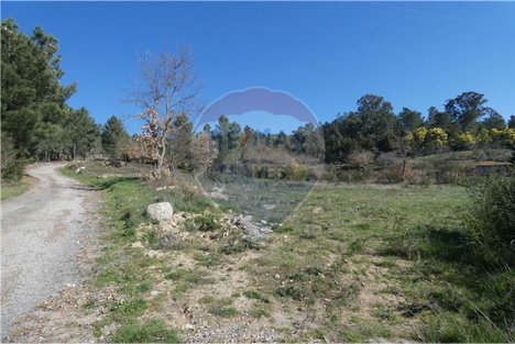 9656m² Land in Ferreirim, Portugal No. 90499