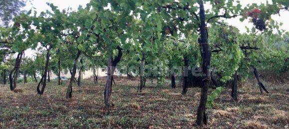 2 Schlafzimmer Haus in Castelvetere sul Calore, Italy, Nr. 331074 15