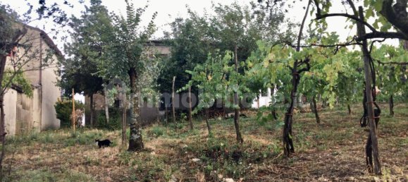 2 Schlafzimmer Haus in Castelvetere sul Calore, Italy, Nr. 331074 16