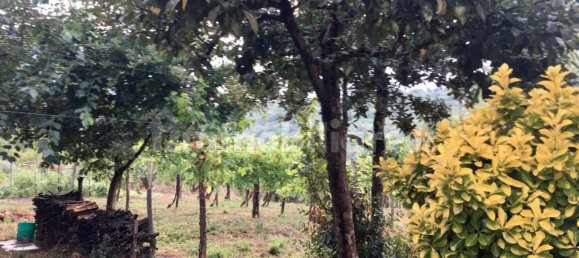 2 Schlafzimmer Haus in Castelvetere sul Calore, Italy, Nr. 331074 14