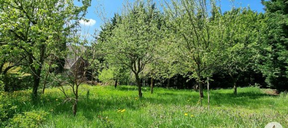 Casa de 3 divisões em Karlstein an der Thaya, Austria N.º 166533 3