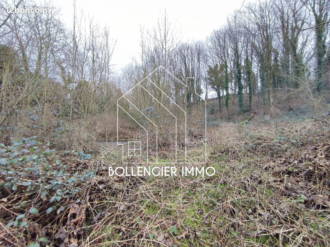 Grundstück in Cassel, France 6482m², Nr. 71365