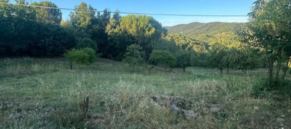 20000m² Land in Castelnuovo di Val di Cecina, Italy No. 285653 3