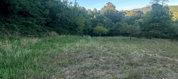 20000m² Land in Castelnuovo di Val di Cecina, Italy No. 285653 14