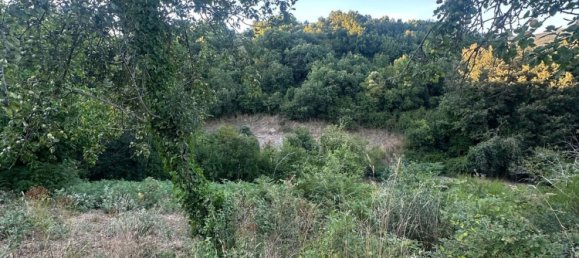 20000m² Land in Castelnuovo di Val di Cecina, Italy No. 285653 8