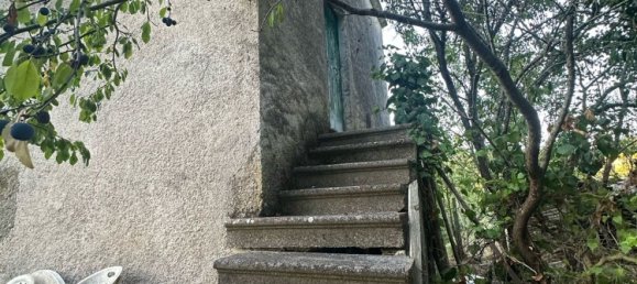 20000m² Land in Castelnuovo di Val di Cecina, Italy No. 285653 9