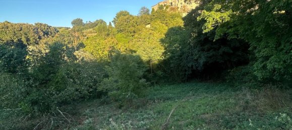 20000m² Land in Castelnuovo di Val di Cecina, Italy No. 285653 7