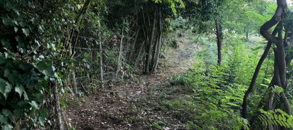 20000m² Land in Castelnuovo di Val di Cecina, Italy No. 285653 10