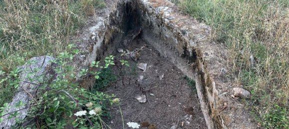 20000m² Land in Castelnuovo di Val di Cecina, Italy No. 285653 13