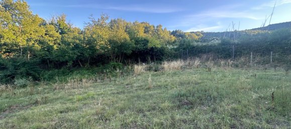20000m² Land in Castelnuovo di Val di Cecina, Italy No. 285653 15