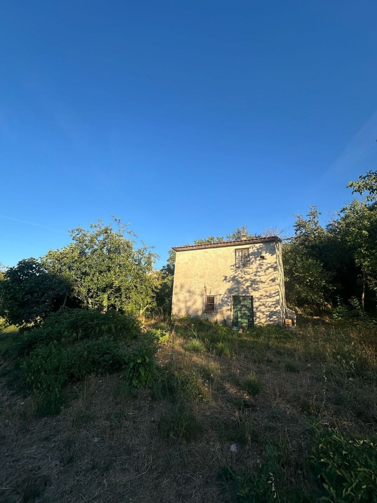 20000m² Land in Castelnuovo di Val di Cecina, Italy No. 285653