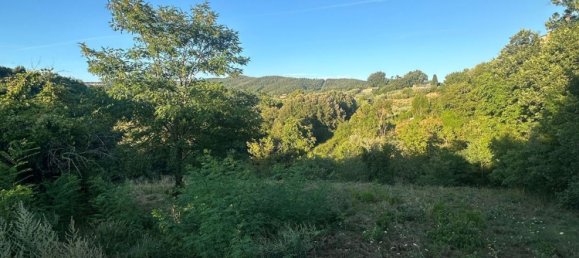 20000m² Land in Castelnuovo di Val di Cecina, Italy No. 285653 6