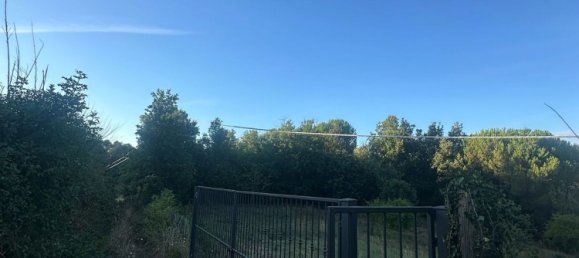 20000m² Land in Castelnuovo di Val di Cecina, Italy No. 285653 2