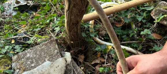 20000m² Land in Castelnuovo di Val di Cecina, Italy No. 285653 11