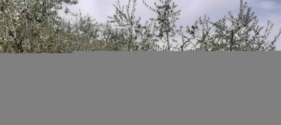5300m² Land in Polpenazze del Garda, Italy No. 158964 6