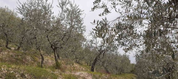 5300m² Land in Polpenazze del Garda, Italy No. 158964 3