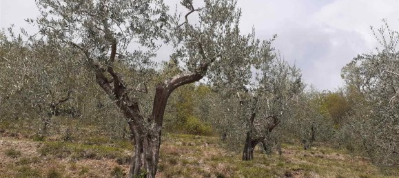 5300m² Land in Polpenazze del Garda, Italy No. 158964 2