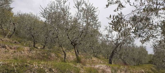 5300m² Land in Polpenazze del Garda, Italy No. 158964 4