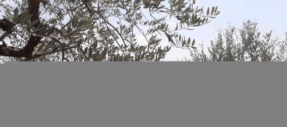 5300m² Land in Polpenazze del Garda, Italy No. 158964 5