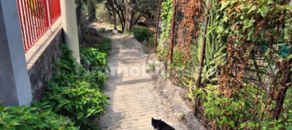 2 bedrooms House in Lettere, Italy No. 155887 6