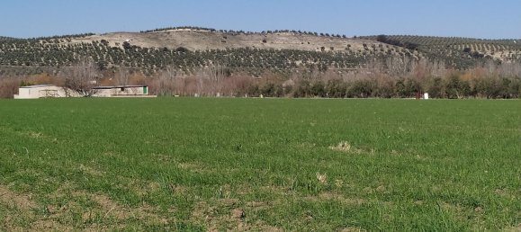 Grundstück in Andalusia, Spain, Nr. 160194 5