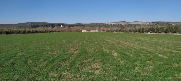 Grundstück in Andalusia, Spain, Nr. 160194 2