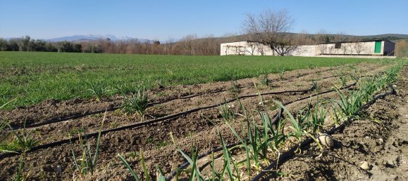 Grundstück in Andalusia, Spain, Nr. 160194 6