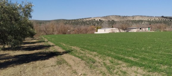 Grundstück in Andalusia, Spain, Nr. 160194 4