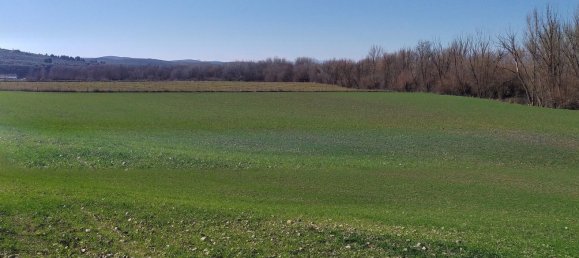 Grundstück in Andalusia, Spain, Nr. 160194 8