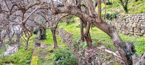 6 rooms House in Sanremo, Italy No. 234838 31