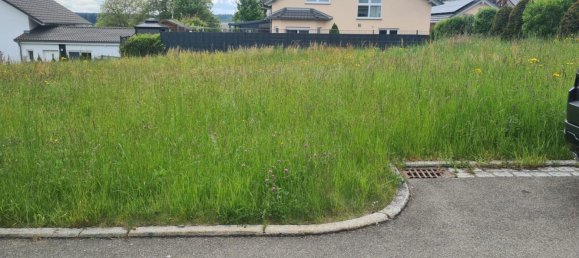 Terreno em Freudenstadt, Germany N.º 254607 2