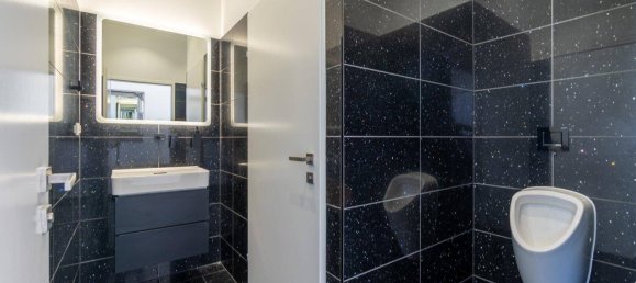  Commercial property in Korneuburg, Austria No. 156739 13