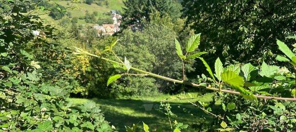 Terreno en Munster, France 1412 m² No. 220611 3