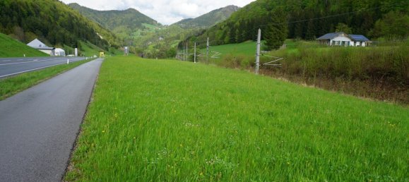 Terrain à Gaflenz, Austria 4568m² No. 222286 9