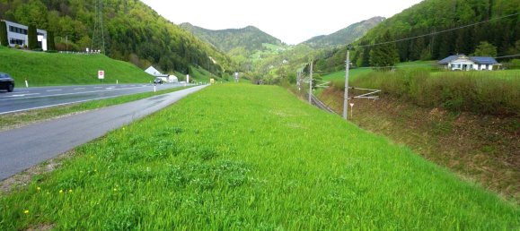 Terrain à Gaflenz, Austria 4568m² No. 222286 2