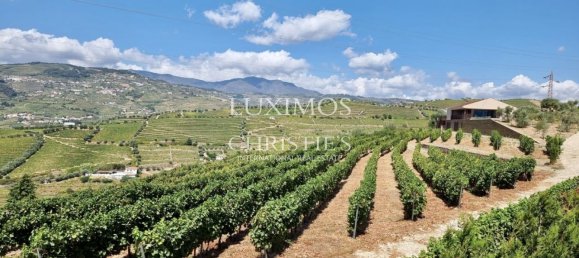 4 bedrooms Castles in Santa Marta de Penaguiao, Portugal No. 139872 20