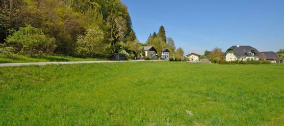Land in Mattighofen, Austria No. 48548 3