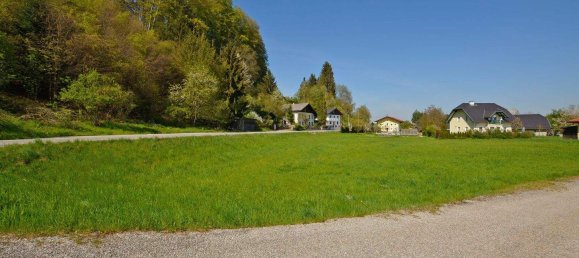 Land in Mattighofen, Austria No. 48548 2