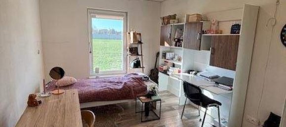 4-Zimmer Haus in Potzneusiedl, Austria, Nr. 253963 24