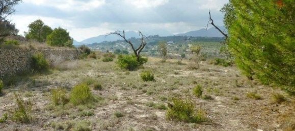 Земельный участок в Бенисса, Испания № 96479 4